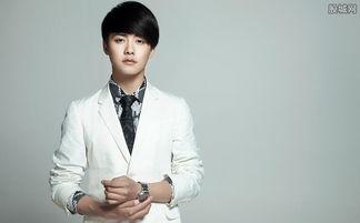 娱乐圈对马天宇的评价,娱乐圈内外口碑双丰收的优质偶像