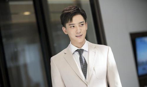 仲间安住个人资料,跨界艺术家与创意产业的融合先锋