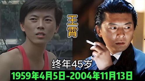 风华正茂演员表,青春活力演绎时代风采