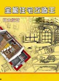 全能住宅改造王 背景,全能住宅改造王的创新之旅